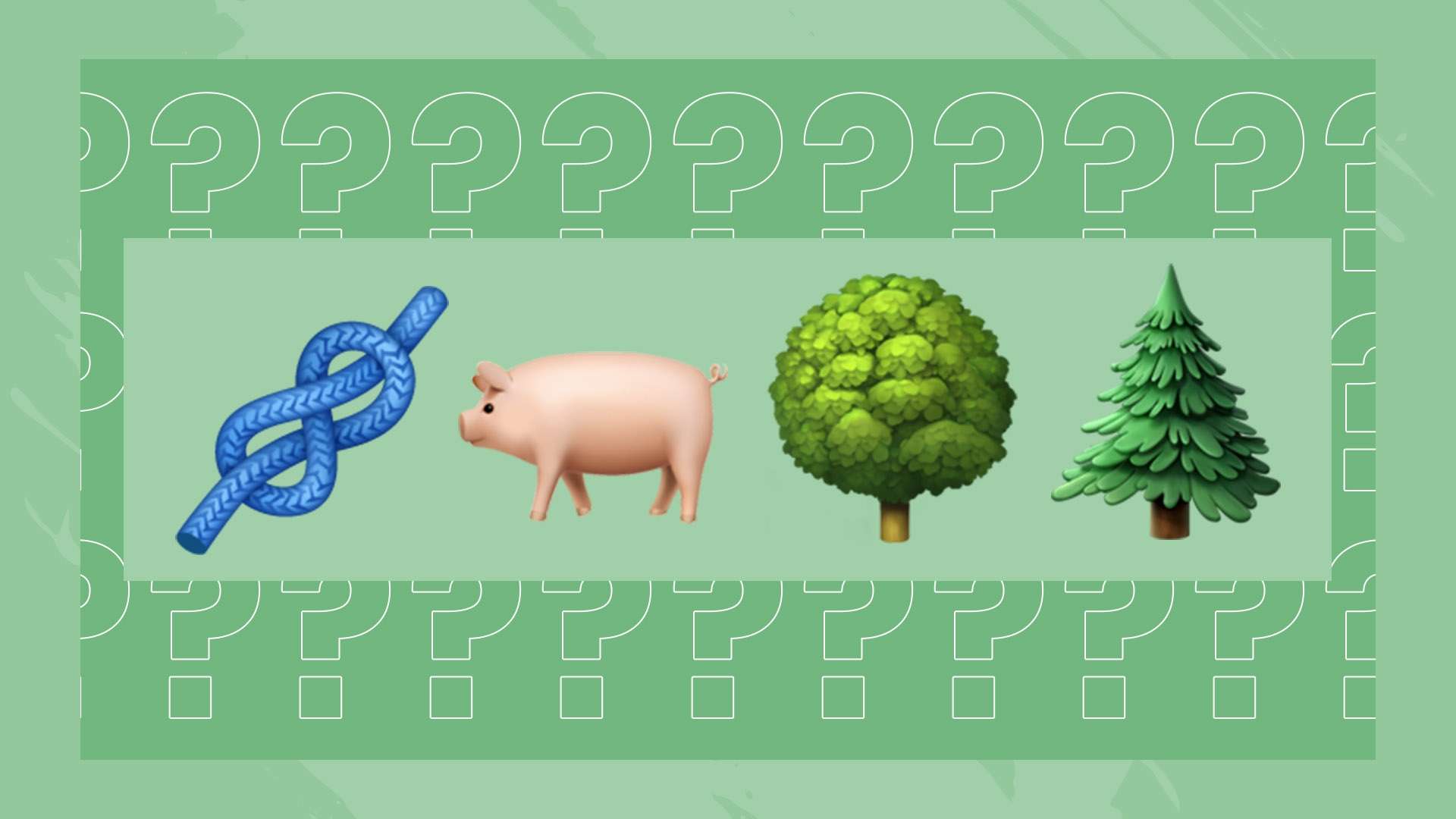 越環境的束 越環境的束