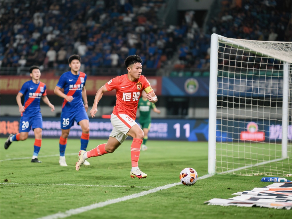 多新星球员 多新星球员